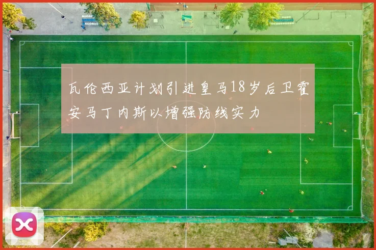 瓦伦西亚计划引进皇马18岁后卫霍安马丁内斯以增强防线实力
